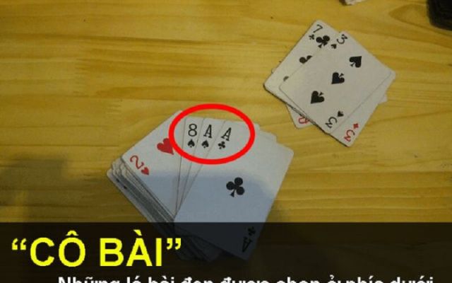 Cô bài