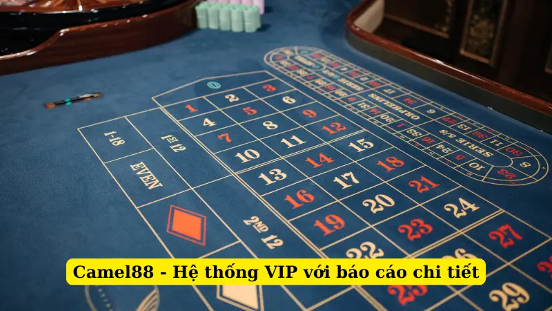 Camel88 - Hệ thống VIP với báo cáo chi tiết