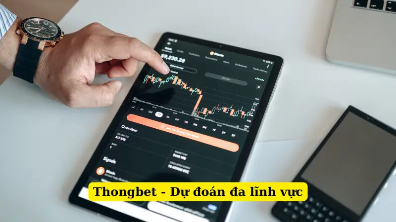Thongbet - Dự đoán đa lĩnh vực
